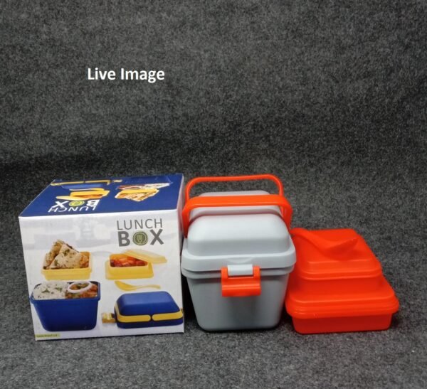 Live image of plastic lunch box