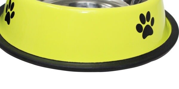 green colour dog bowl with rubber base on white background