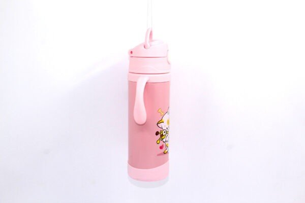 showing side area printed Double Wall Flask Sipper pink color on white background