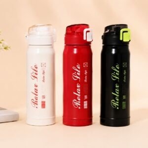Stainless Steel Insulated Sport Bottle | Compact & Leakproof | Push Lock Button | Portable | 650 ML | Assorted Colors | Box Packing